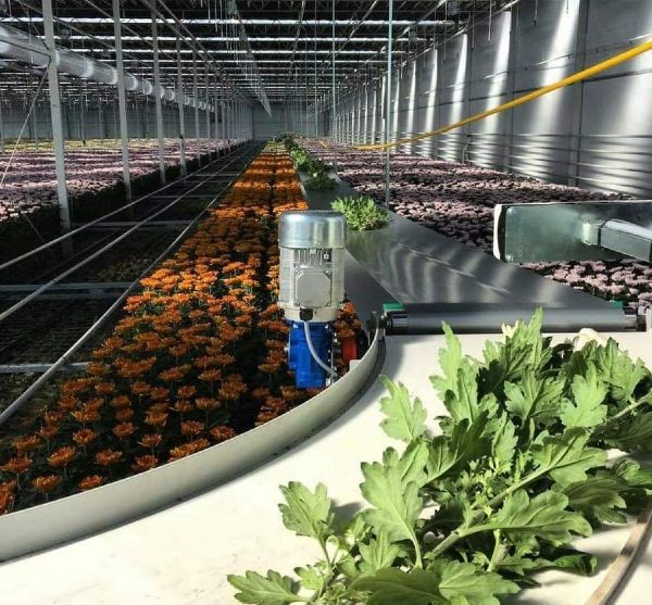 Curved conveyors from Kramer &amp; Duyvis: Innovative Transport Solutions for Every Industry