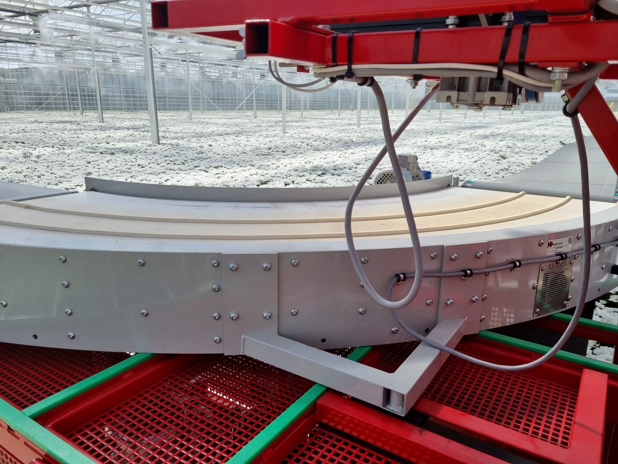 Curved conveyor in the flower industry