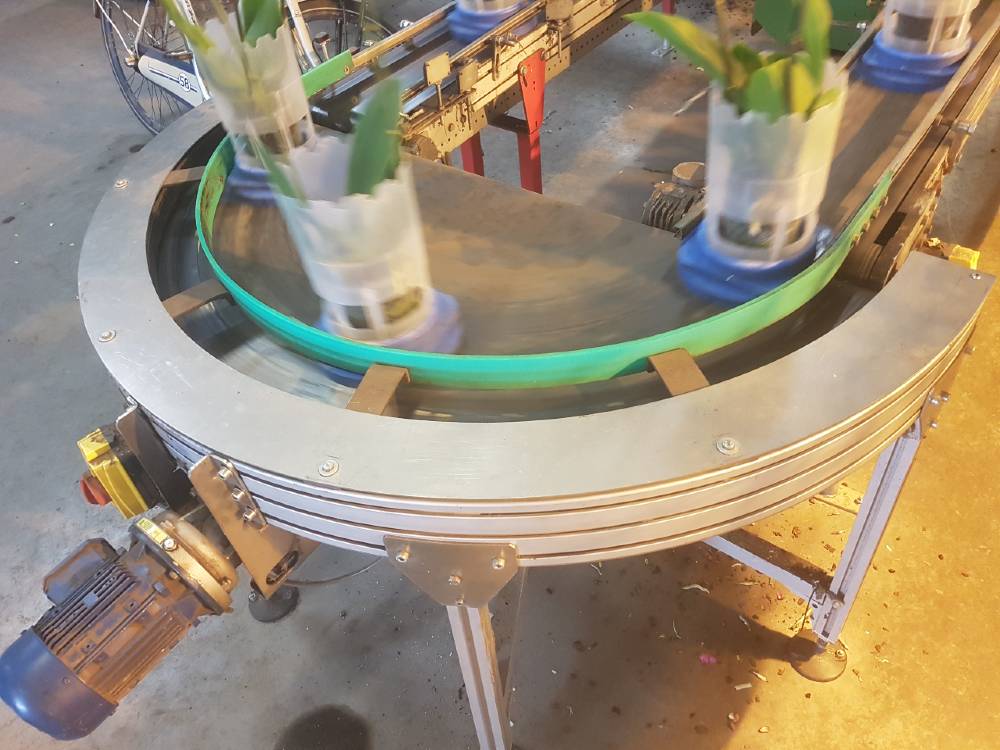 Transport of flowers with a curved conveyor Type KDZ
