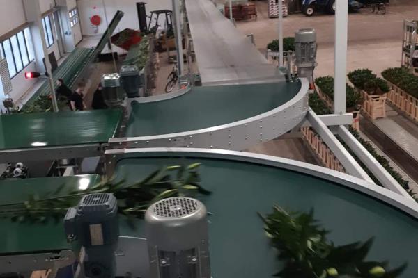 Blumentransport mit Kurvenförderer Typ R