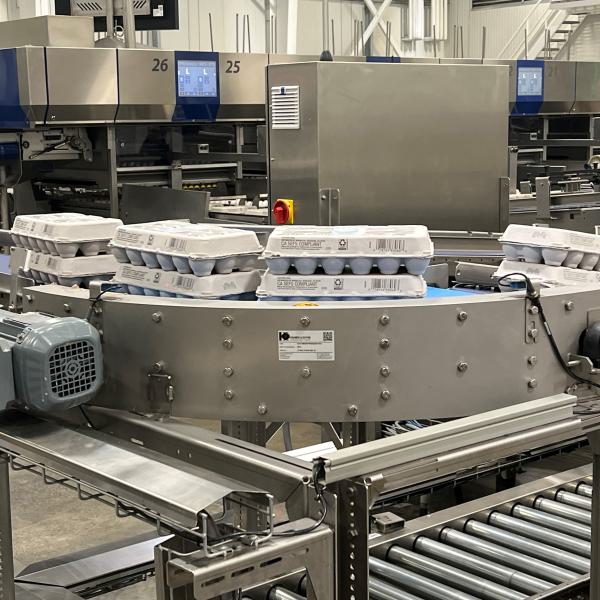 Bochtband in productielijn waarbij eieren worden verpakt.