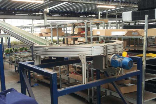 Curved conveyor for potted plants.