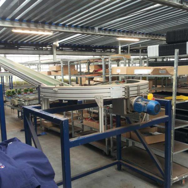 Curved conveyor for potted plants.
