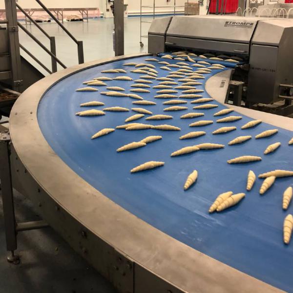 Transport of croissants with curved conveyor Type BMK