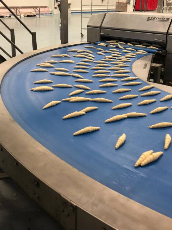 Transport of croissants with curved conveyor Type BMK
