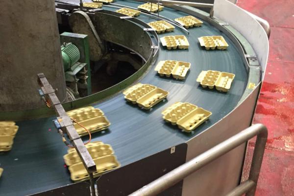 Transport of egg cartons with belt bend Type R