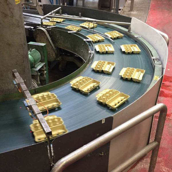 Transport of egg cartons with belt bend Type R