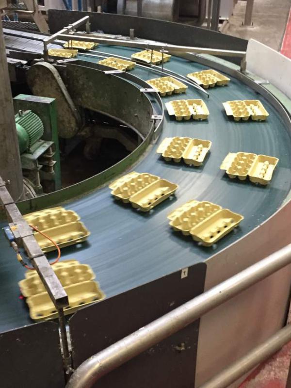 Transport of egg cartons with belt bend Type R