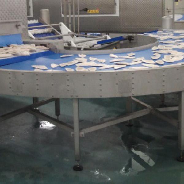 Transport of fish with curved belt Type R