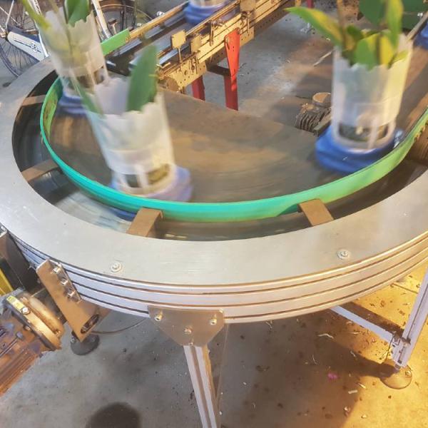 Transport of flowers with a curved conveyor Type KDZ