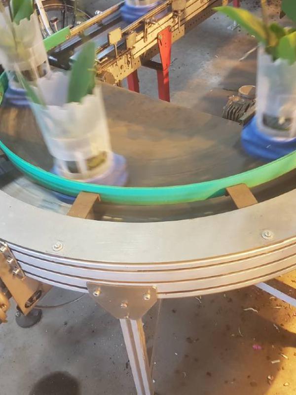 Transport of flowers with a curved conveyor Type KDZ