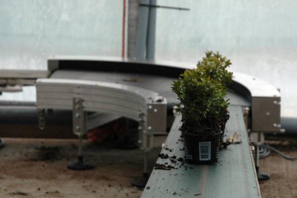 Transport of plant in pot with a round conveyor Type KDC