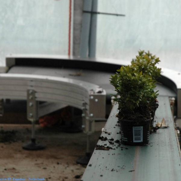 Transport of plant in pot with a round conveyor Type KDC