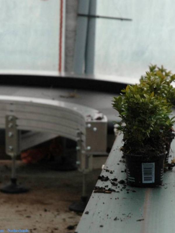 Transport of plant in pot with a round conveyor Type KDC